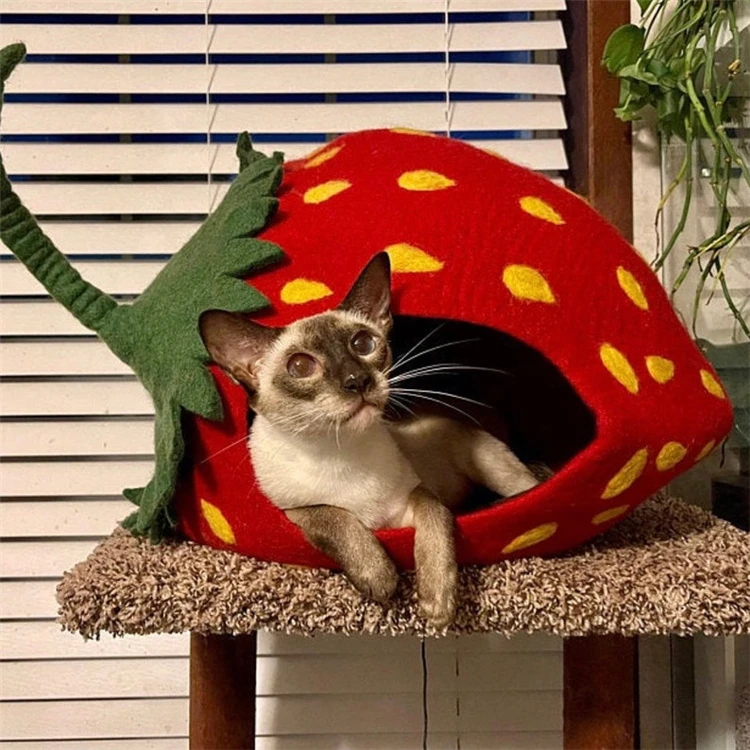 Hot Sale Comfortable Practical Durable Cute Cat Cave Bed Indoor Cat Cave Bed Felt Strawberry Cat Cave
