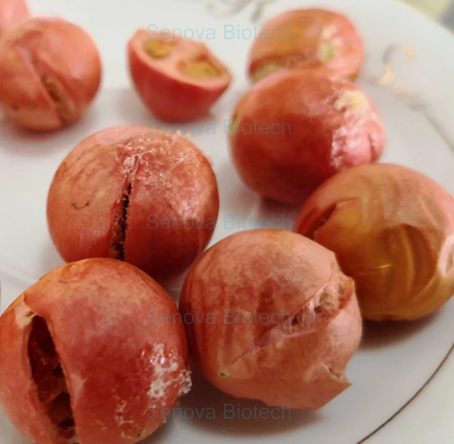 FD Food Okra Broccoli Spinach Potato Green Pea Mushroom Coffee Juice Liquid Powder Vacuum Freeze Dryer