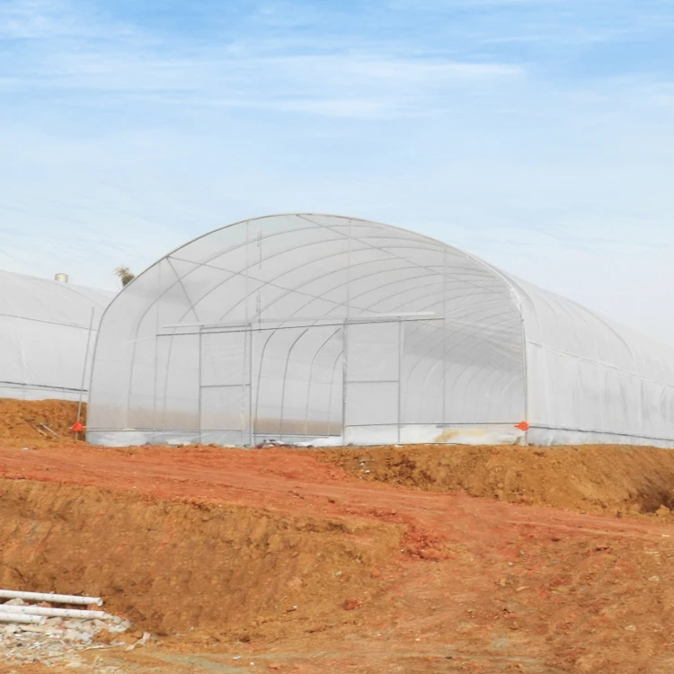 Protecting vegetables growing thailand agricultural greenhouse film tomato hydroponic greenhouse