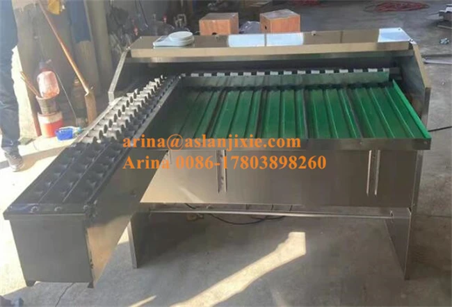 Best price chicken egg size grading classifier machine egg weight sorting machine