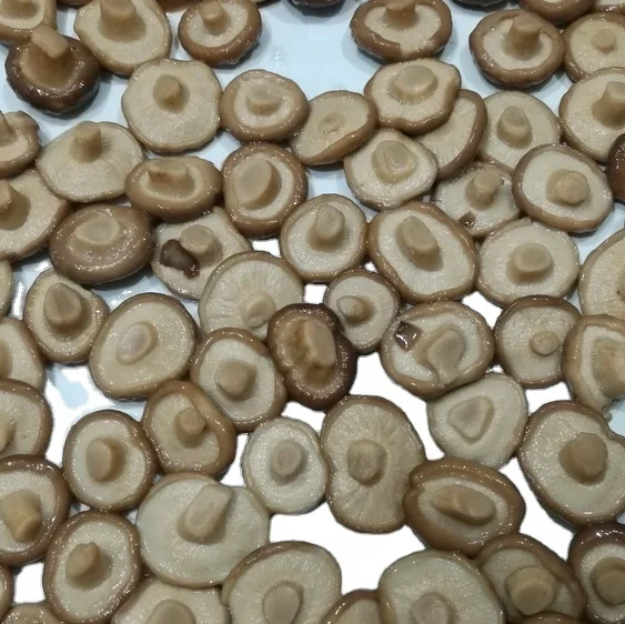 Canned Shiitake