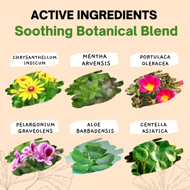 Private logo botanical Ingredients Massage Creme Skin Respiration for Face & Body cream Maximum Moisture Repair Rejuvenation gel