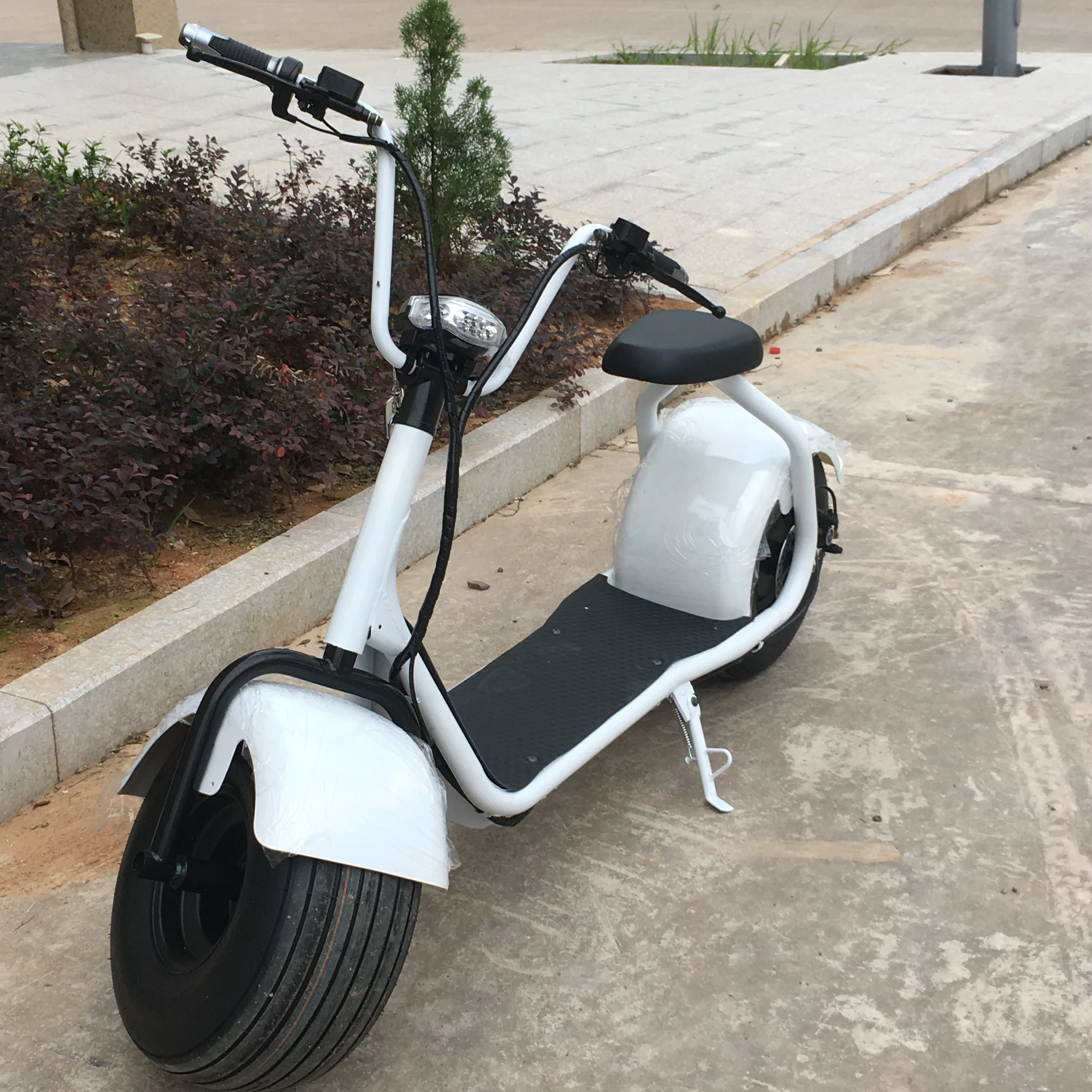 citycoco e scooter_1 (2).jpg