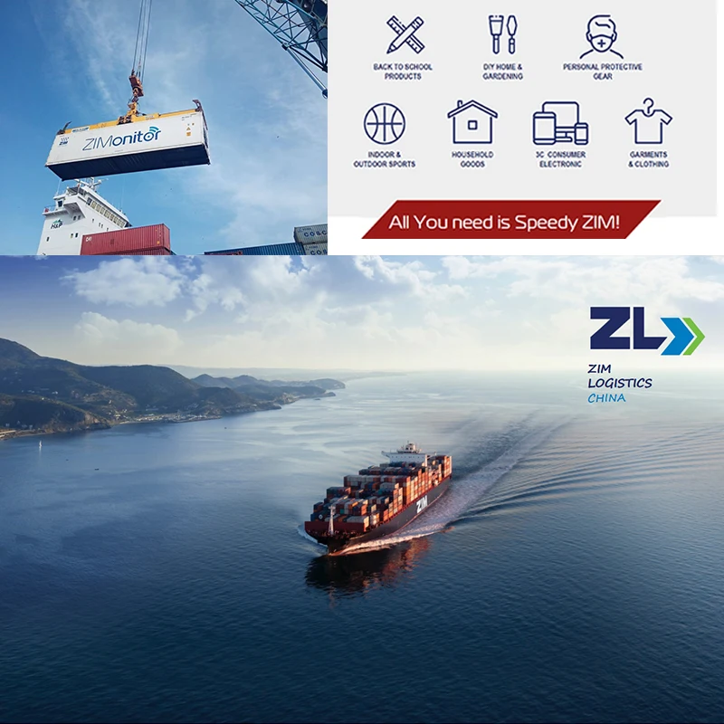 ZLC Full Container 20Ft 40Ft Sea Shipment From China To USA/Spain/Netherlands/Australia/ Russia/ South Korea/Japan/Thailand
