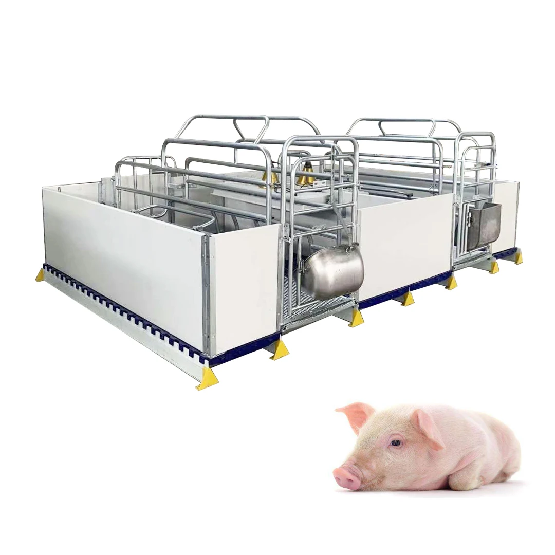High quality Other Animal Husbandry Equipmentpig house pig cages Galvanized Pig Farrowing Crate