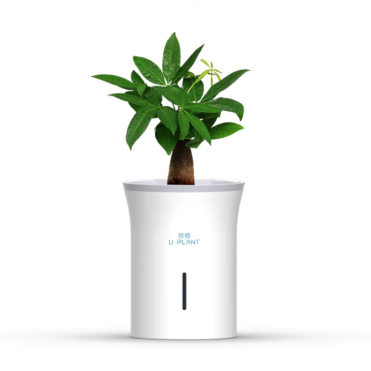 Creative Smart Automatic Watering Flower pot Water Storage Plastic Planter Pot Indoor Water Absorbing Pots