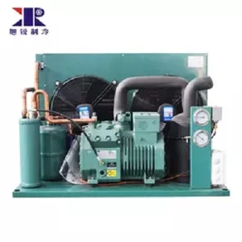 vacuum cooler  condensing units mini cooling unit refrigerator machine refrigeration