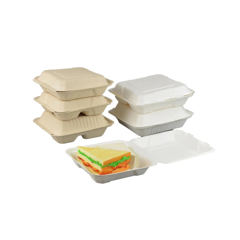 Biodegradable takeaway take away pizza burger bento box fast food packaging pulp lunch bagasse cane paper