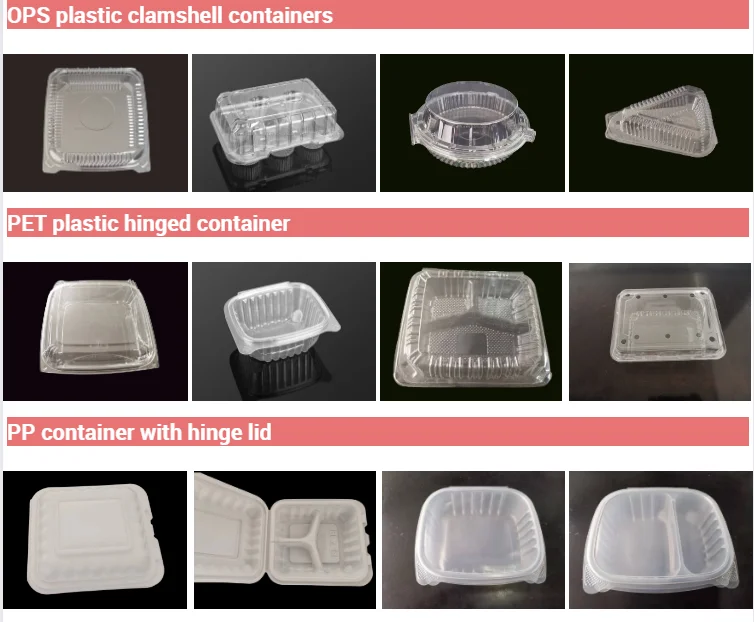 5x5 inch Clear Plastic Hinged Take Out Containers Clamshell Takeout Tray Food Clamshell Containers for Dessert, Cookies, hamburg