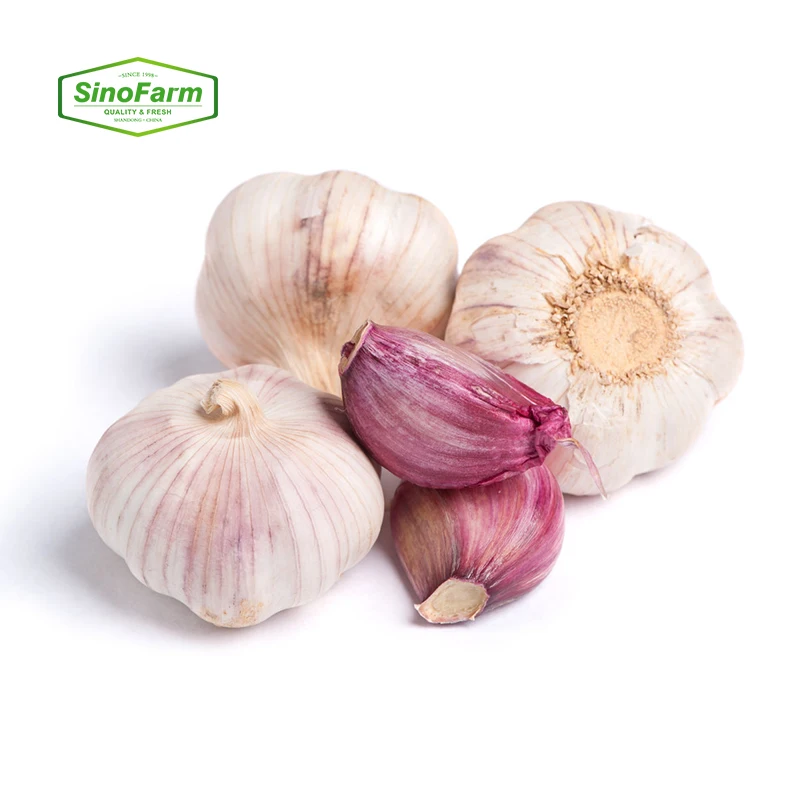 2021 wholesale China bulk fresh garlic price for sri lanka  from China suppliers