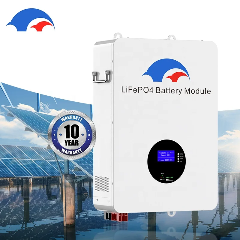 5KW 10KW Solar Lithium Batteries 6000  Cycles RS485 CAN BUS 48V 100AH 200AH LiFePO4 Battery PC Monitor For Off/On Grid Inverter