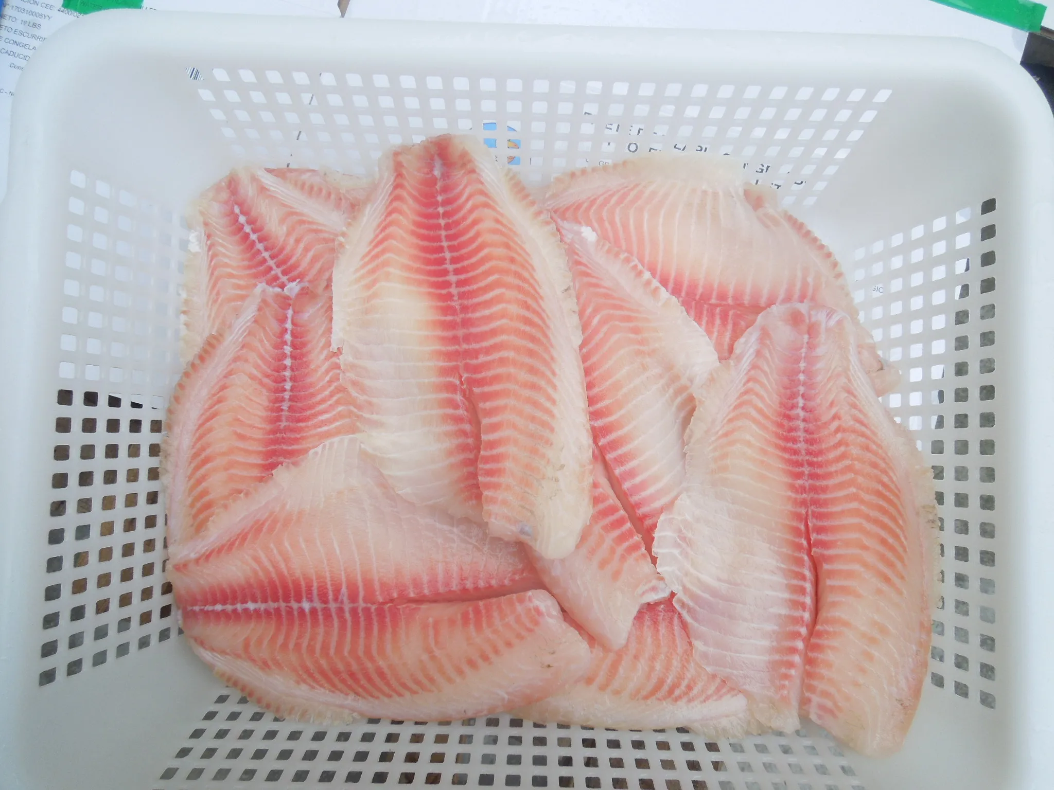 Top Ten Supplier of Frozen China Tilapia Fillet Size 3-5 oz with Competitive Price and Stable Supply