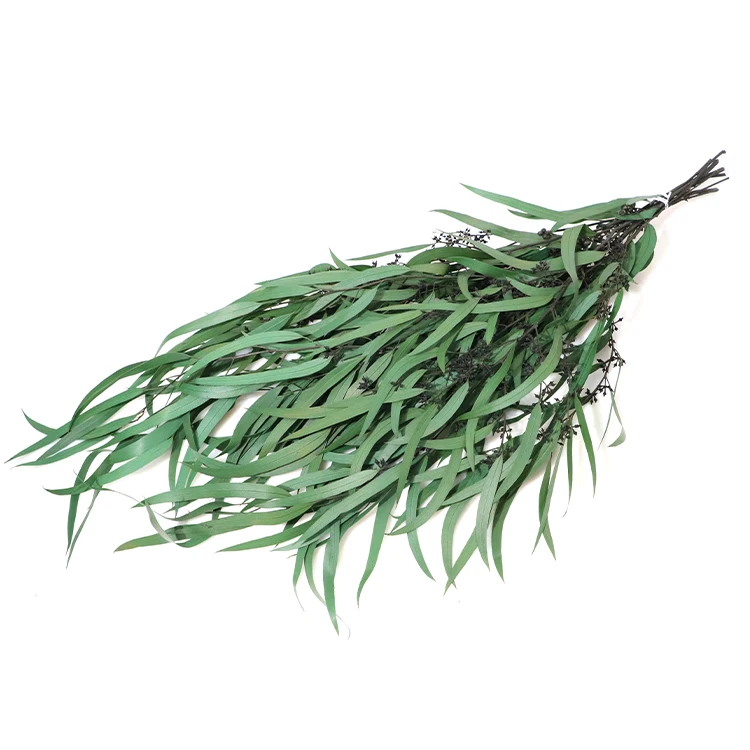 Home Indoor Decoration Leaves Rice Flower Preserved Plants Forever Eucalyptus with