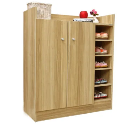 Modern Shoe Cabinet