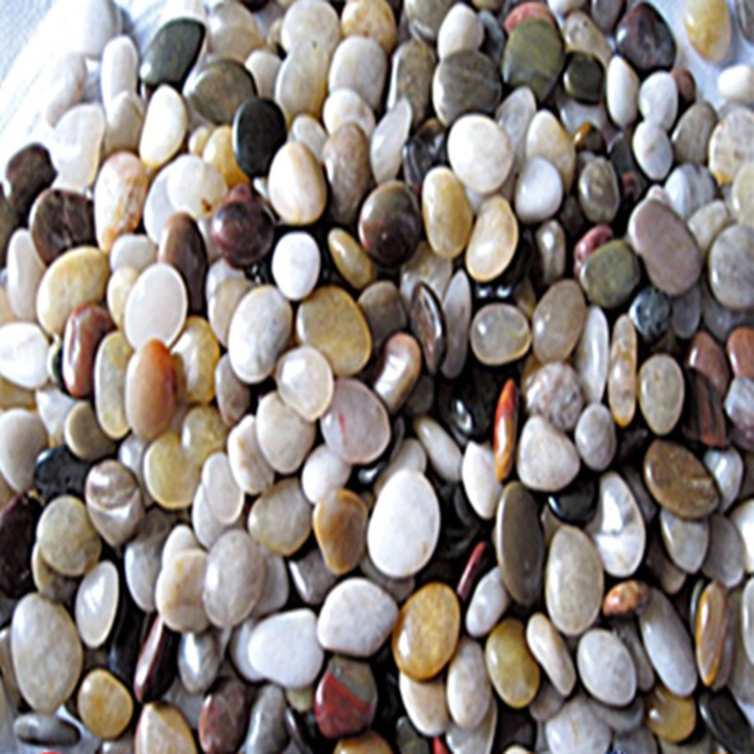 Natural Mixed colors Landscaping River Pebble Stone Decorative Cobble Stone