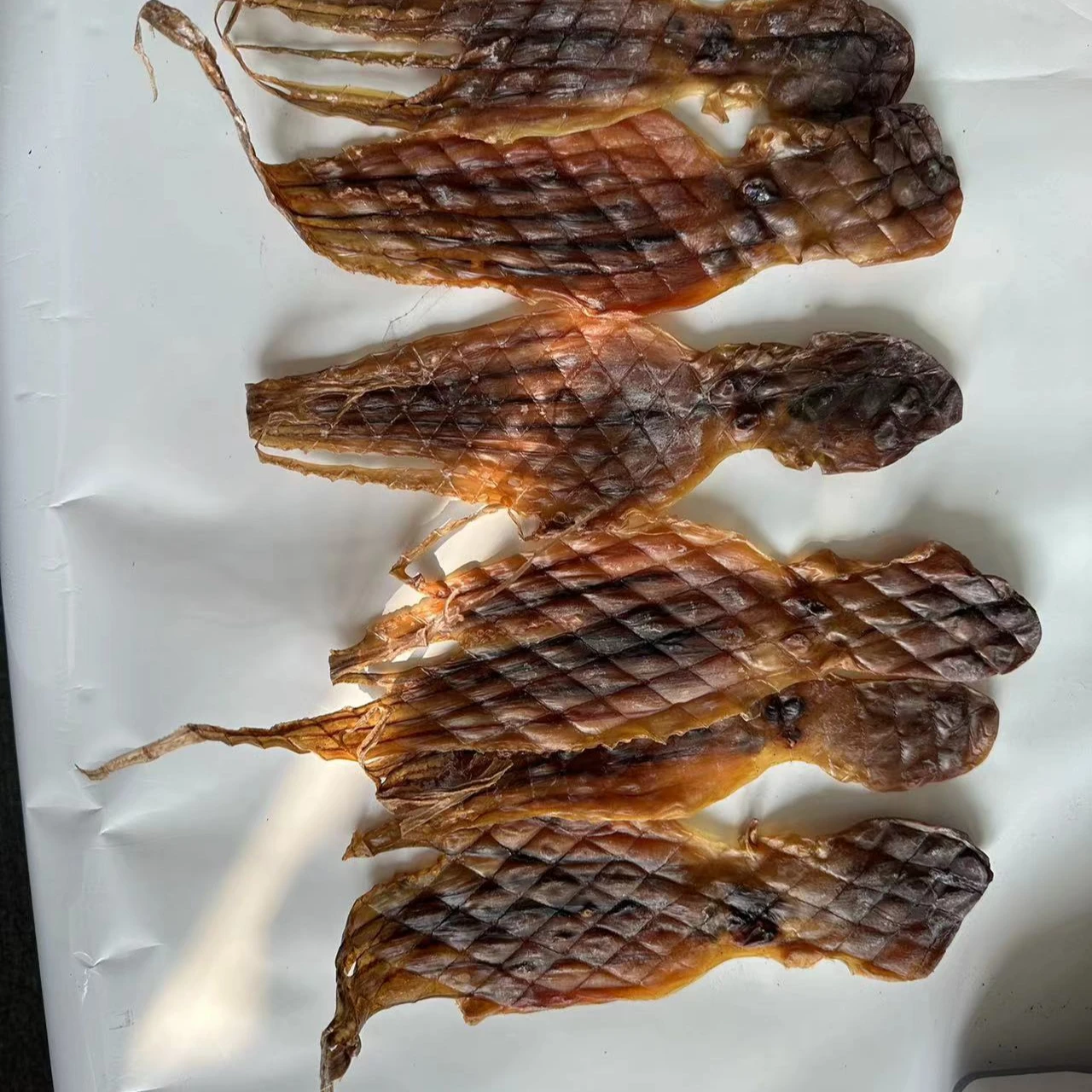 WR dried octopus 25g up dried octopus Good quality hot sale Dried Octopus