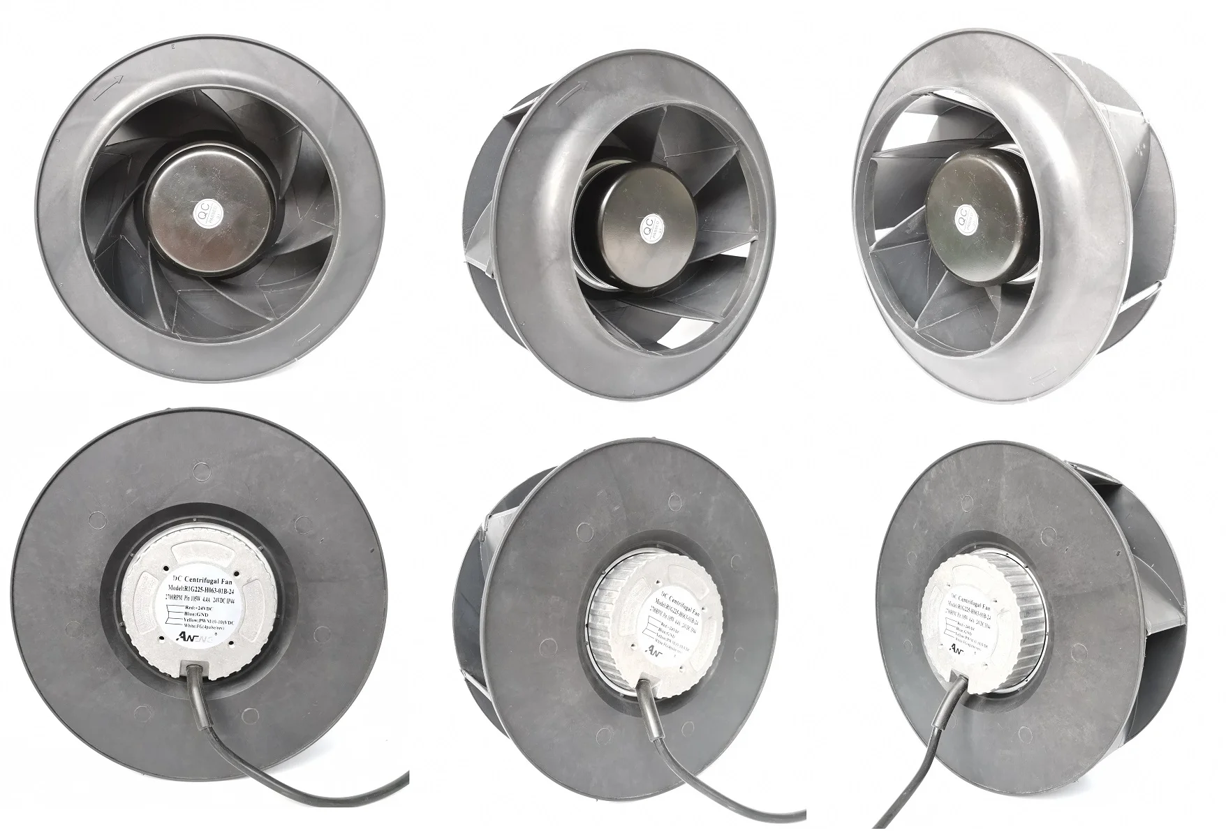 IMG_20200404_145429 - 