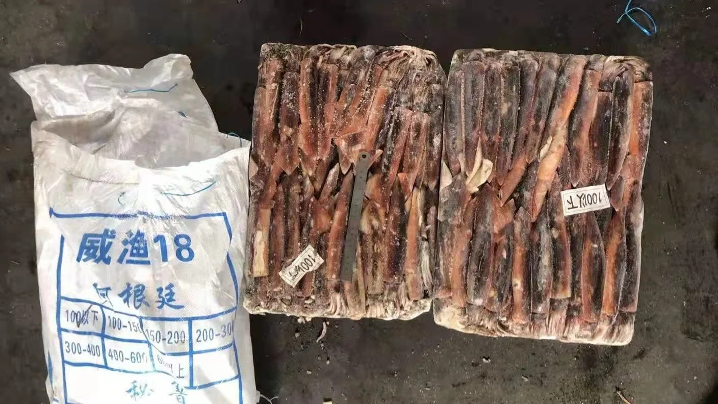 Замороженный иллекс кальмар весь каламари Круглый lолиго Южная Африка Аргентина по хорошей
