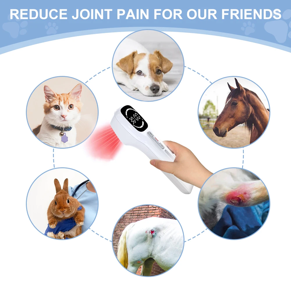 Portable Handheld Red Light Therapy Apparatus for Joint Muscle Pain Relief Cold Laser Therapy Body Rehabilitation On-the-go Use