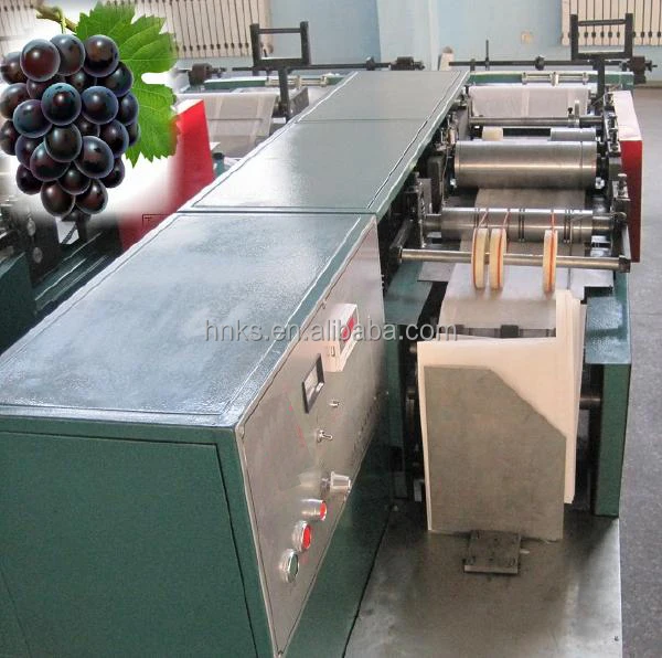 Машина для производства бумажных пакетов цена манго защита мешок делая машину для фруктов