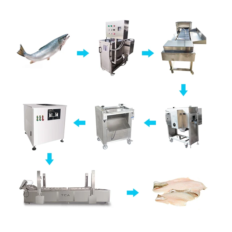 XXD High-yield and low-energy commercial customized fish process machineryer
