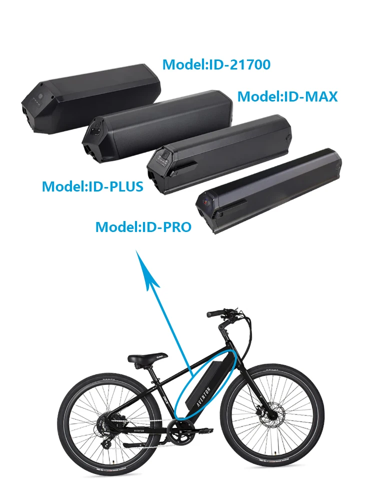 Customized Reention Dorado Plus Ebike Battery 36V 48V Lithium Ion Electric Bicycle Akku for 500w 750w 1000w Motor
