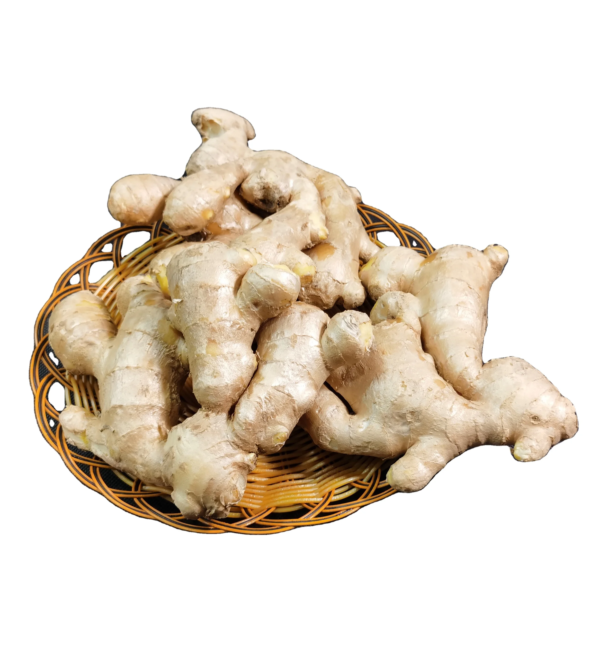 
Ginger Fresh Vegetables Indian to Europe BEG Style Organic Weight Origin Type Variety ISO Place Model Cultivation Certification 