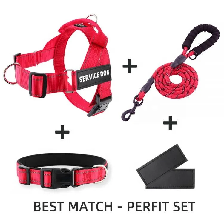 Soft Breathable Mesh Padded Dog Harness No Pull Dog Harness Front Clip Reflective Nylon Heavy Duty With Customized Patches