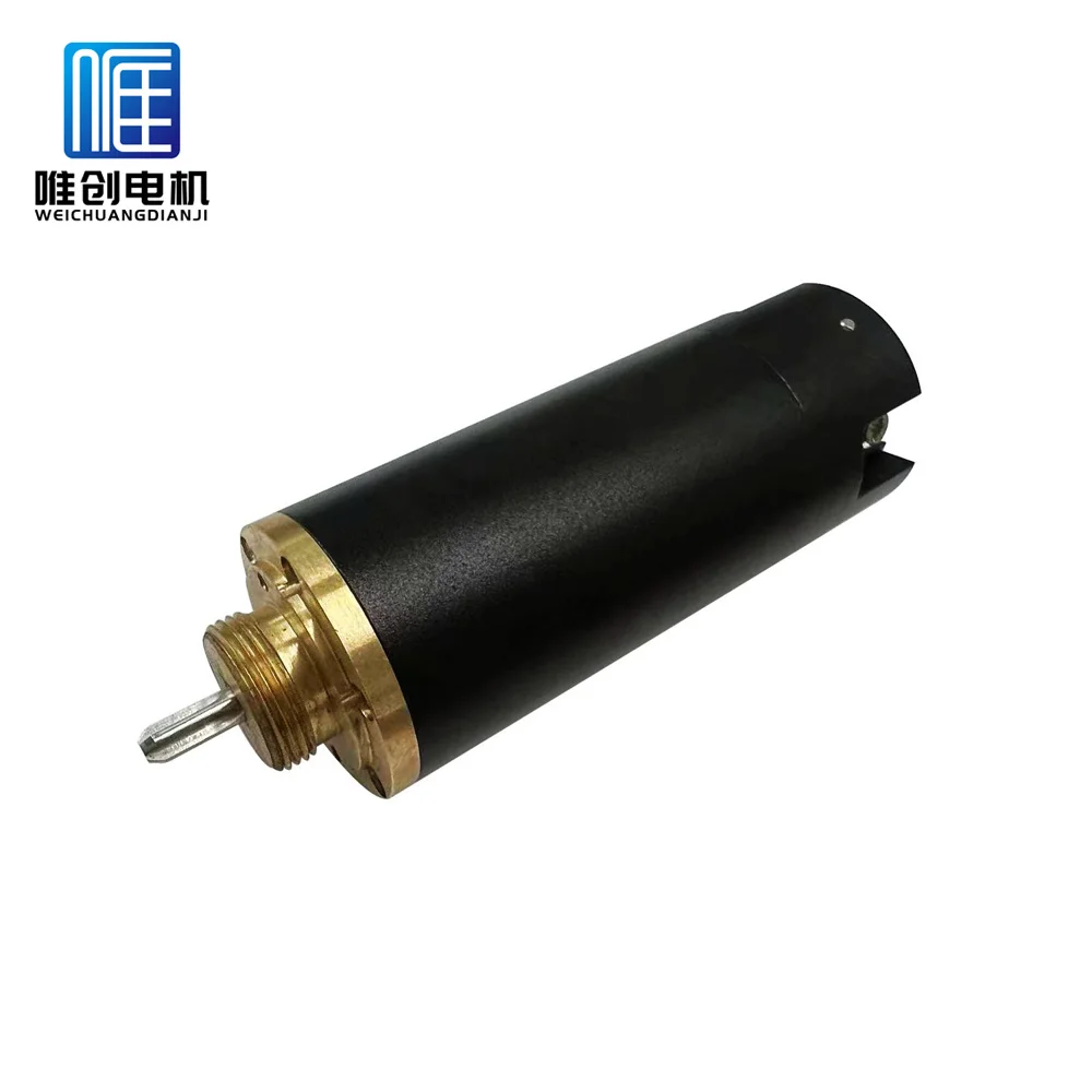 24mm high speed low noise slotless bldc motor for jade grinder