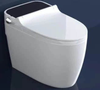 Modern Minimalist toilet Bathroom smart toilet dedicate toilet