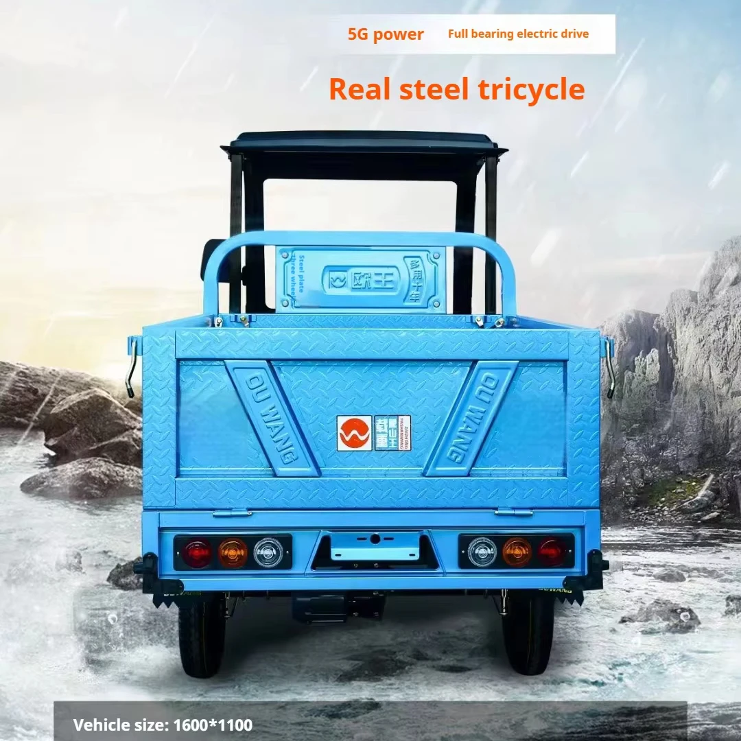 Hot Selling Electric Tricycle Made in Chinese Factories Customized Tricycle Electric Tricycle