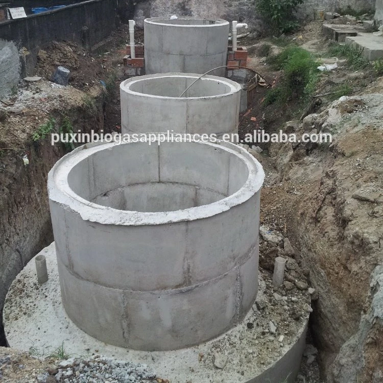 Китайская небольшая домашняя Биогазовая установка Puxin 10