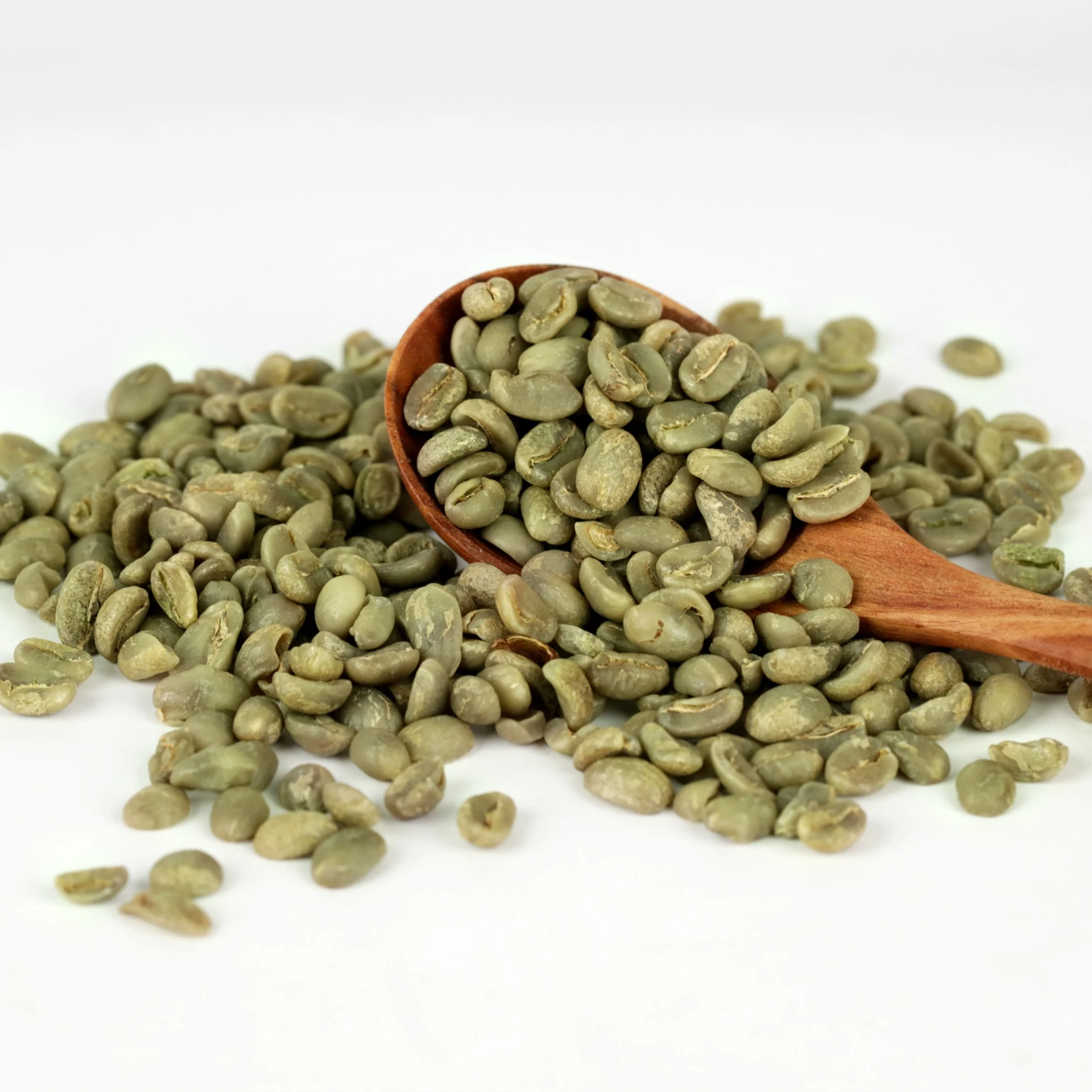
Organic Coffee Beans Arabica Variety Green Bean Coffee 