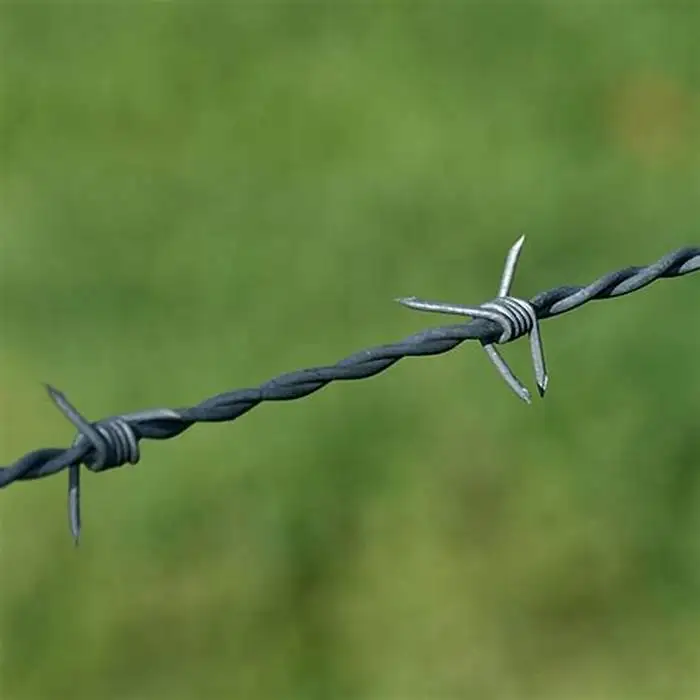 Barbed Wire Fencing Prices Single Fils Barbel Galvaniser Price Per Roll Kenya