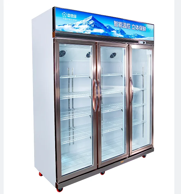 Whosale LC-1188 Snowsea Professional Manufacture Refrigerated Showcase Commercial Upright Freezer