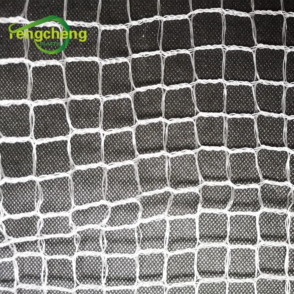 Agriculture HDPE with UV Material Anti Bird Net High Quality Pond Fish Net