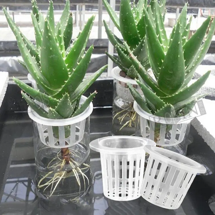 Greenhouse Plastic clear Mesh Pot Vegetables Grow Basket Hydroponics System Net Cup Net Pot