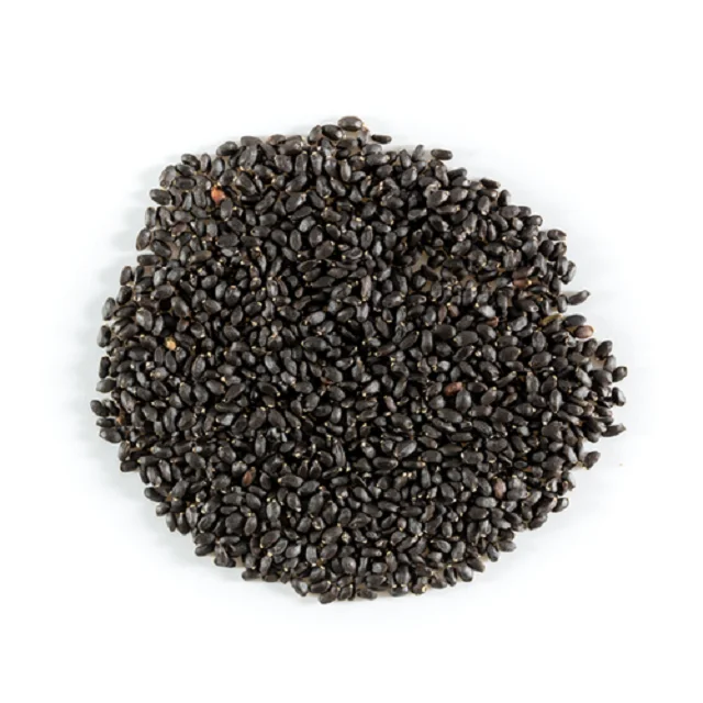 Basil Seeds best quality for sales at affordable price