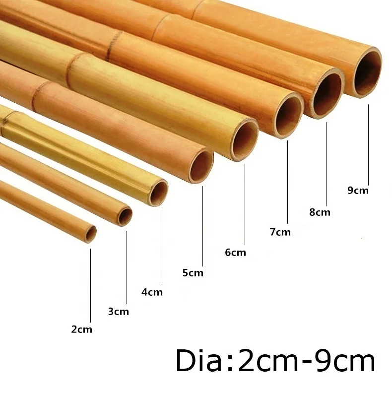 Raw Material Planting And Processing 40cm Bamboo Raw Material Solid Dry Bamboo Poles For Orchard Support Frame Bamboo Poles