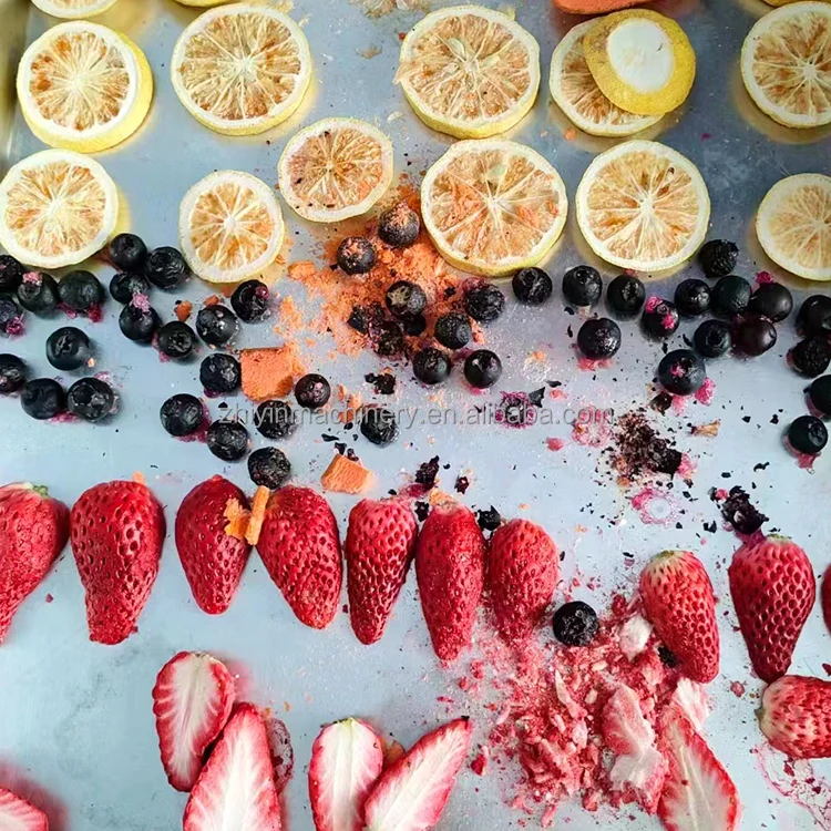 Multifunctional Small Fruit Freezing Machine Household Laboratory Vacuum Lyophilization Machine