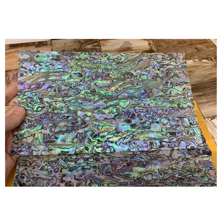 Special price mexico abalone shells decorative paper wholesale