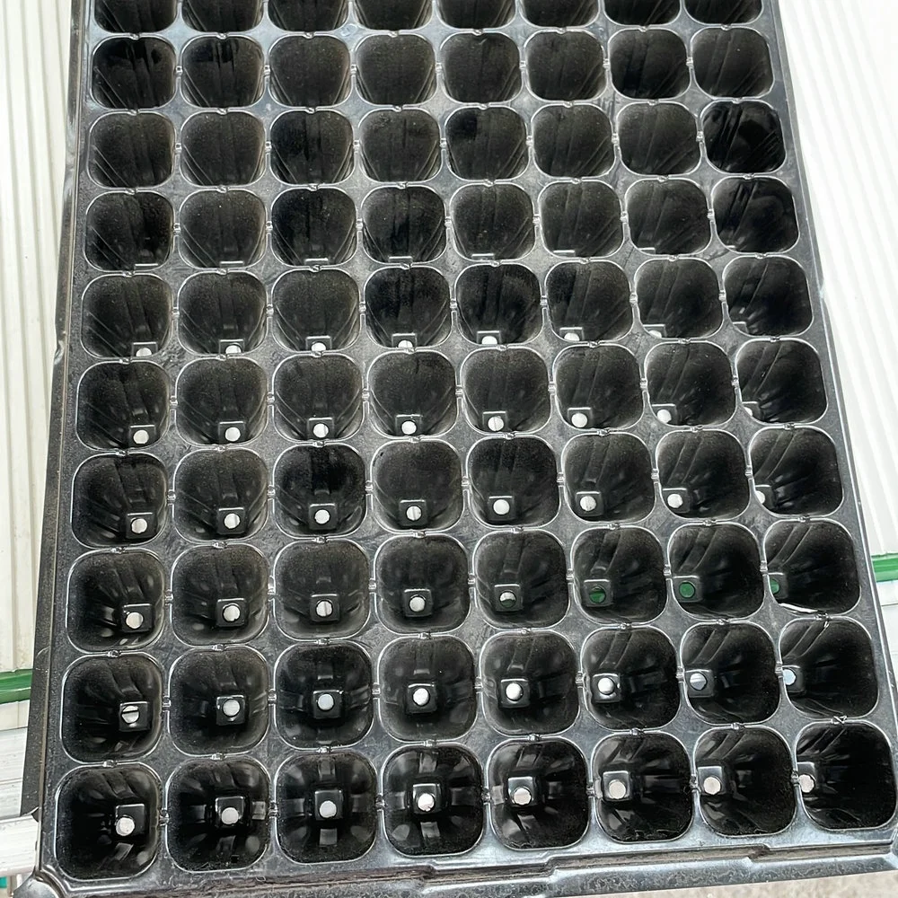 Auto Tray Seeding/Sowing Machine Seeder Machine