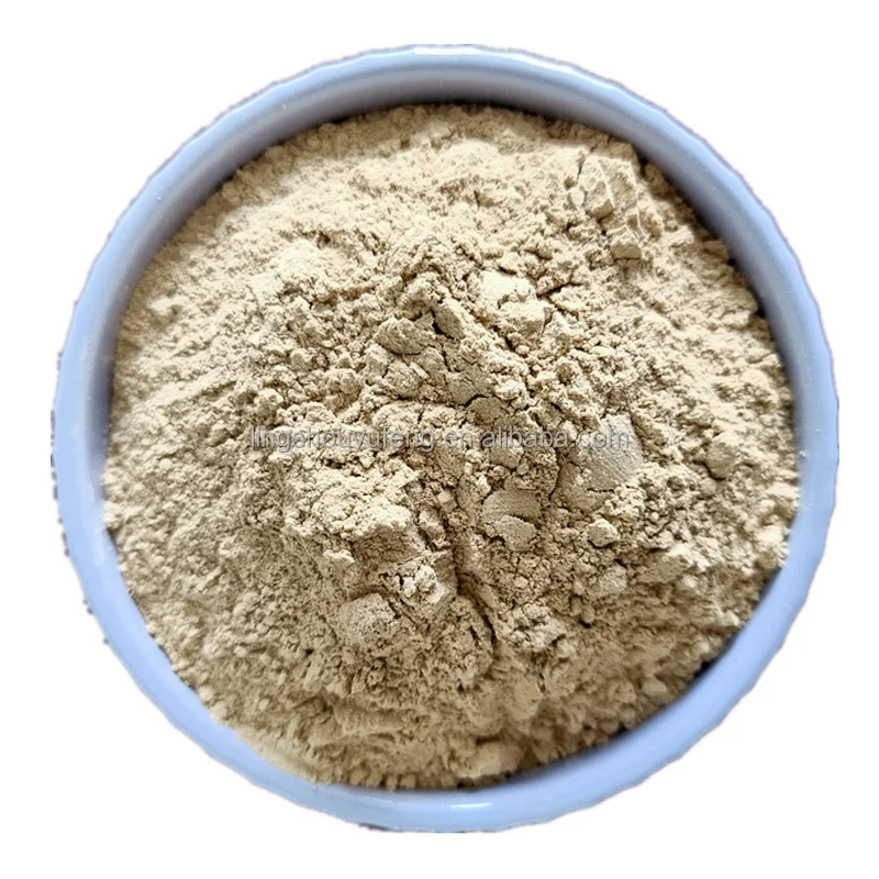 Direct Factory Price 98% Food Grade Montmorillonite Powder Animal Feed and Cosmetic Ingredient Made from Bentonite Clay