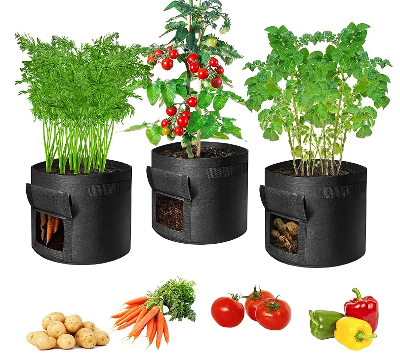 PM8RQBPTKO5GUCJ6Q[(}BP3