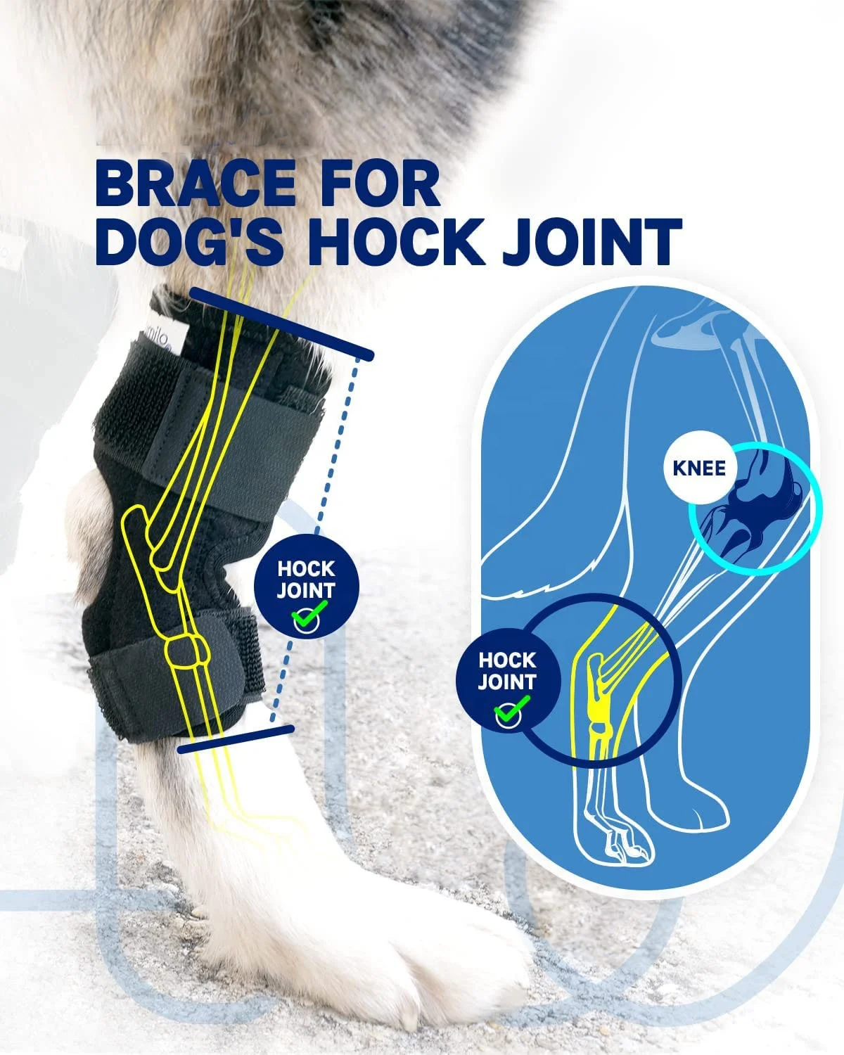 Hot Selling Compression ACL Arthritis Canine Pet Knee Support Wrap Injury Protector Joint Leg Dog Knee Brace