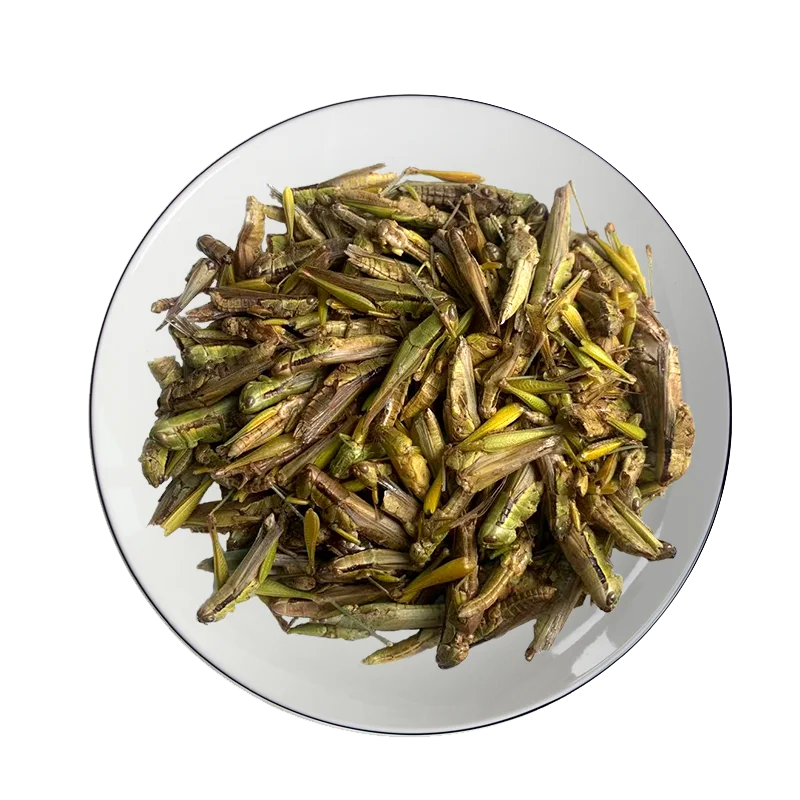 Заморозка из саранчи кузнечик пищевые насекомые белок для куриной птицы