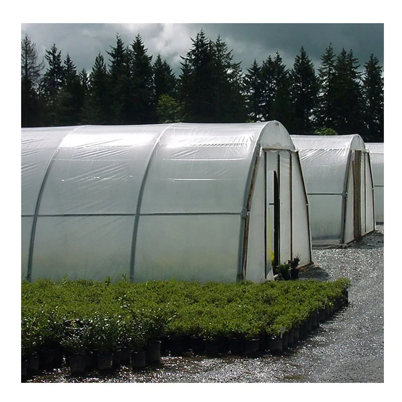 Agricultural Single-Span Arch greenhouse po film for Flowers Planting