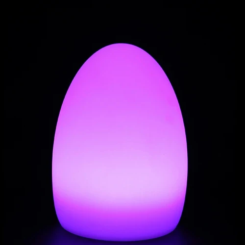 Factory wholesale with Led Display Salon Equipment Rechargeable  LED Lamp