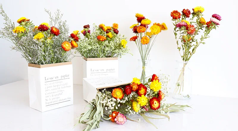 wholesale Decorative dried flowers Flower arranging Colorful Chrysanthemum Helichrysum preserved Strawflower