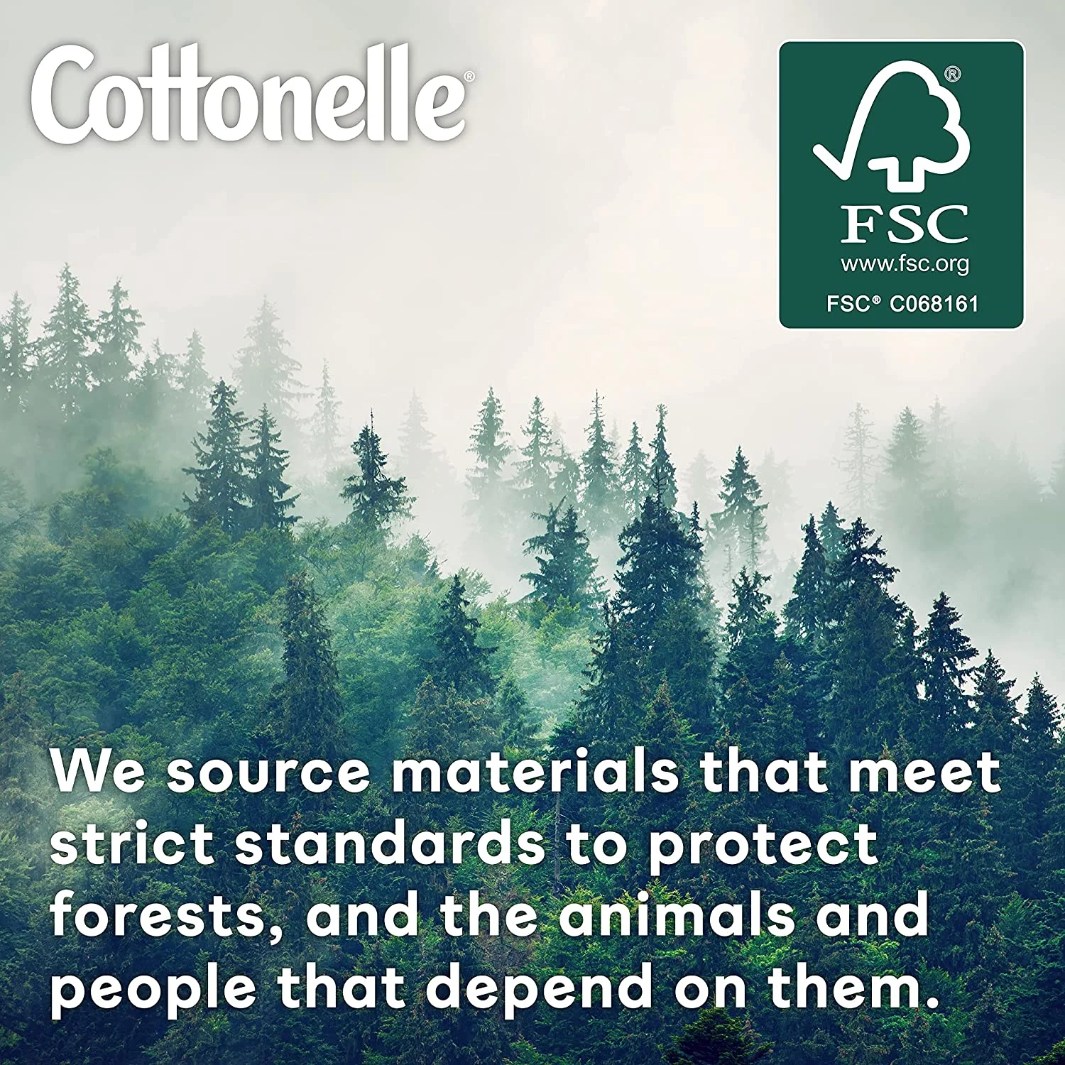 Custom Logo Biodegradable Water Intimate Body Vagina Care Wipes For Women Adult Toilet Flushable Yoni Hygiene Feminine Wet Wipes